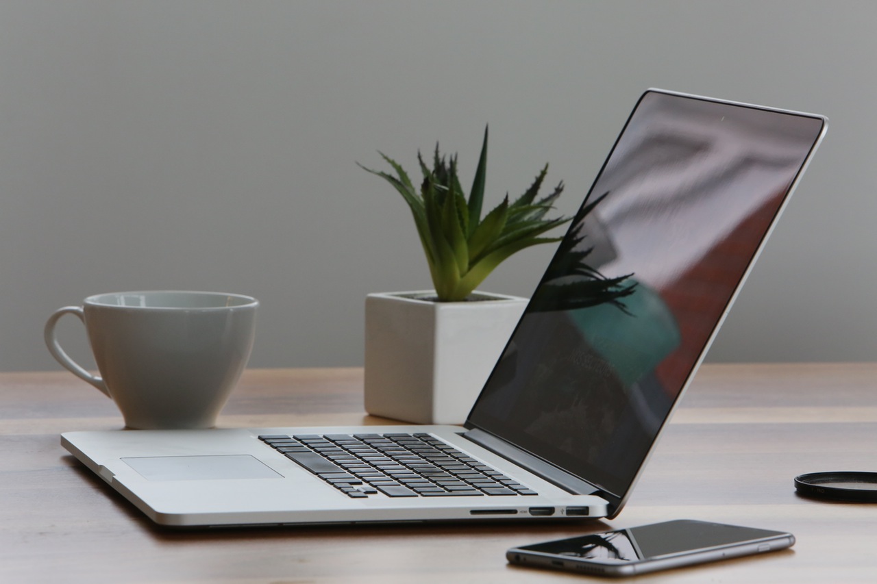 An open laptop with a mobile phone and a plant either side of it