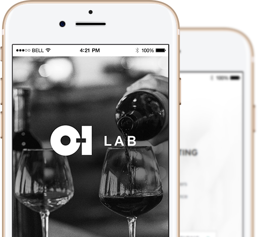 OI Winve Vision Mobile friendly sales system