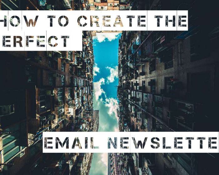 How to Create the Perfect Email Newsletter